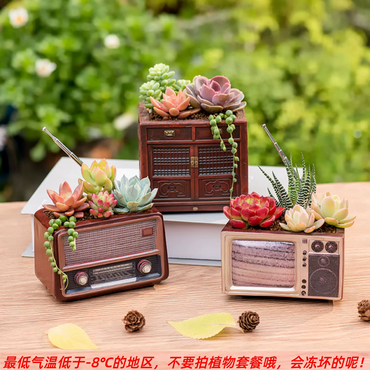 Веселый садовый ретро-радио, суккулентный цветочный горшок, небольшой комбинированный горшок для растений, ностальгические старые предметы восьмидесятых годов, телевизор