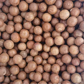 咖啡生豆;咖啡豆;夏威夷果