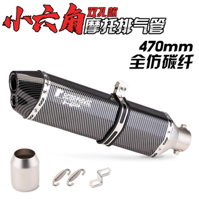 Motorcycle modification exhaust pipe Exhaust pipe - 470-double-hole-all-imitation-carbon-fiber