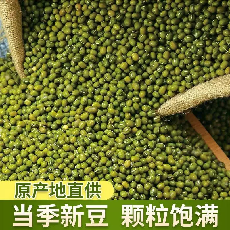 云南农家绿豆新货绿豆汤发豆芽多规格选消暑易煮五谷杂粮绿豆批发