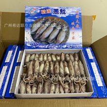 速冻羔鱿 2斤/盒 中餐大排档麻辣小吃半籽海兔 吊筒仔 羔鱿