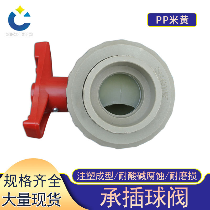 常州熙诚现货PP承插球阀塑料承插式活接双由任球阀 PVC承插球阀