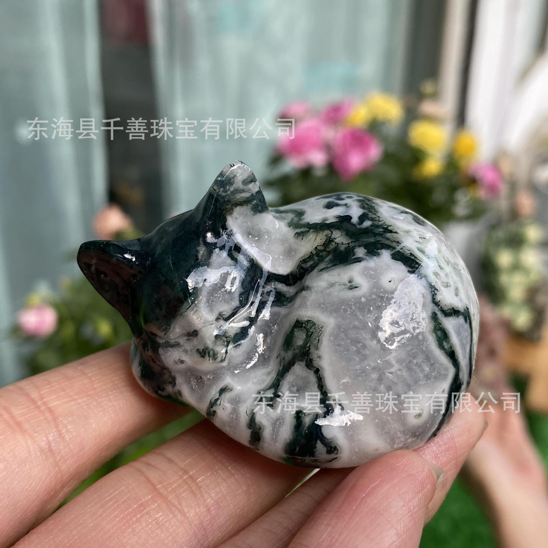 아쿠아 마노 5cm