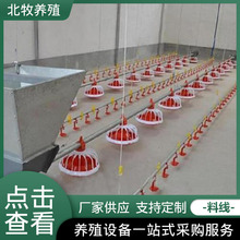 源头厂家 全自动喂鸡料线 鸡鸭鹅平养喂料喂水线 养殖设备料线