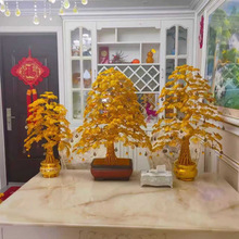 2025���¿˾�_�I��ɫ�u�X��lؔ��[���c�����b��ͶY����ؔ