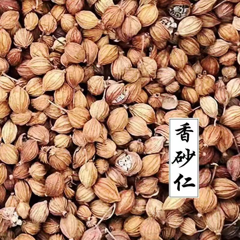 Xiang Sha Ren Fragrant Amomum 500g Sichuan Dried Culinary Herb for Braising Stews and Marinades specifications