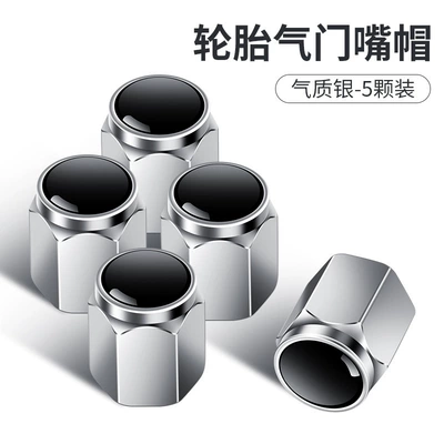 Suitable for Car Tire valve - short-valve-unlabeled-silver-set-of-5