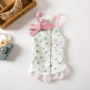 New Pet Dog Cat Spring and Summer Lace Sling Princess Dress Teddy Bitter Bear Bome Small Dog Home Clothes