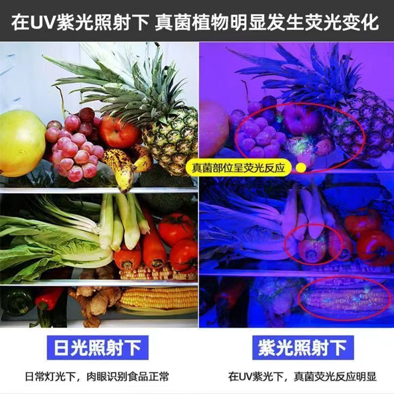 UVブラックミラー 紫光検出ランプ 残留農薬検査ランプ 古代貨幣鑑定紫光ランプ 蛍光剤検出ランプ|undefined