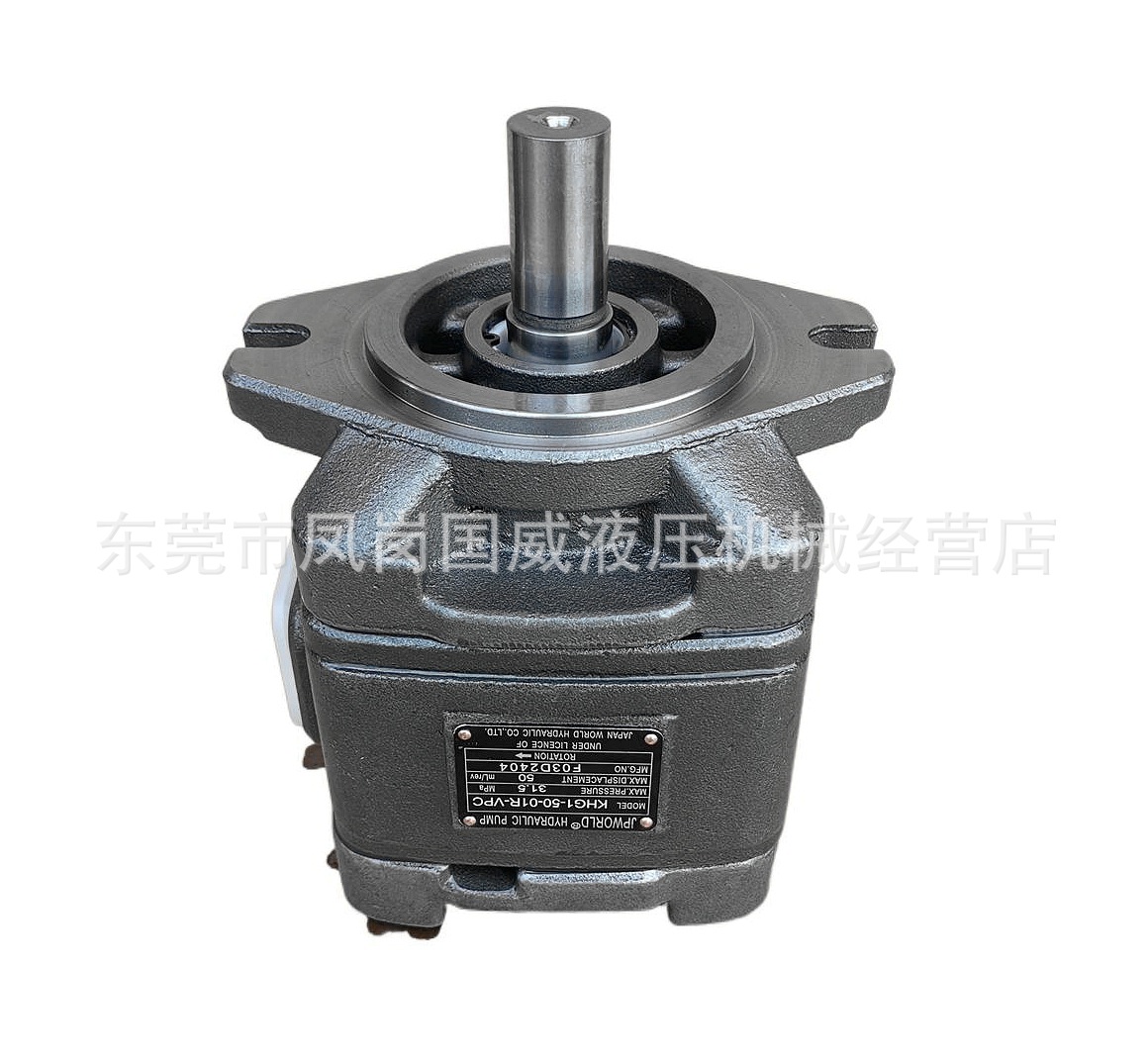 �ձ�����JPWORLD��������HG1-40 50 63�滻SUNNY ECKERLE������