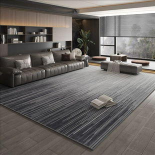Carpet for Living Room Sofa Coffee Table, Bedroom Modern Minimalist Light Luxury Ins Style Room Large Area