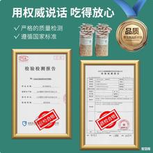 蘑菇种植包家庭平菇种植菌种香菇金针菇榆黄蘑可食用儿童蘑菇菌包