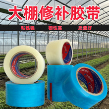 【大棚胶带】大棚修补高粘度强自粘PE修补胶带塑料修复