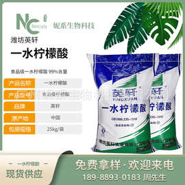 现货批发 “英轩”牌 柠檬酸 食品级一水柠檬酸 99%含量