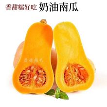 �����ϹϷN�Ӵ����＾�ļ������۱���Ŵ�t���������ó��ϹϷN����