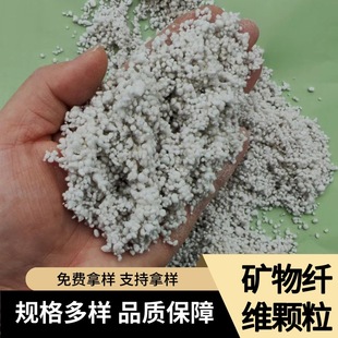 �o�C�w�S���T�� �����������w�S���B �������������w���޵V���w�S