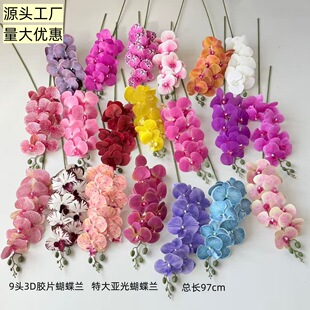 ��������m9�^3D�zƬ��ӡ������m��c�廨�Ҿ��bٻ������羳