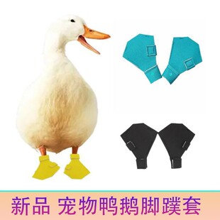 �羳������Ʒ�����ZЬ ������� ����_����ѥ���oЬ ��Ʒ���l
