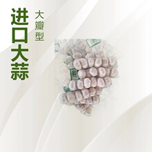 大蒜基地源头工厂直供普白，纯白，承接出口订单、优质白皮