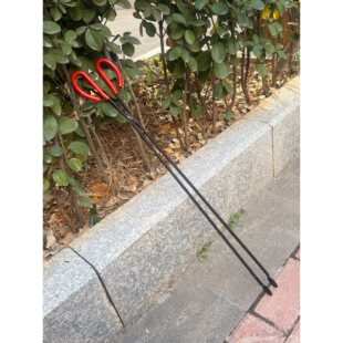 70���L�����A�h�l��ʰ�A�ӏN������Q�����A̼ľ̿�A���û��Q�A��