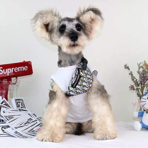 Cross-border foreign trade pets, cats, small dogs, backpacks, cross-body bags, pet accessories, jewelry