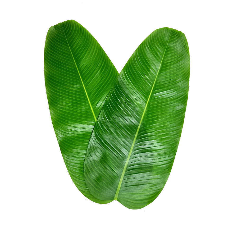 仿真芭蕉叶过胶餐桌桌垫水果店装饰桌布拉旗跨境人造旅人蕉假树叶
