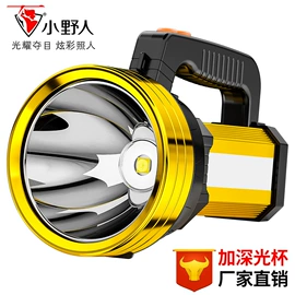 手电筒;头灯头戴电筒;提灯