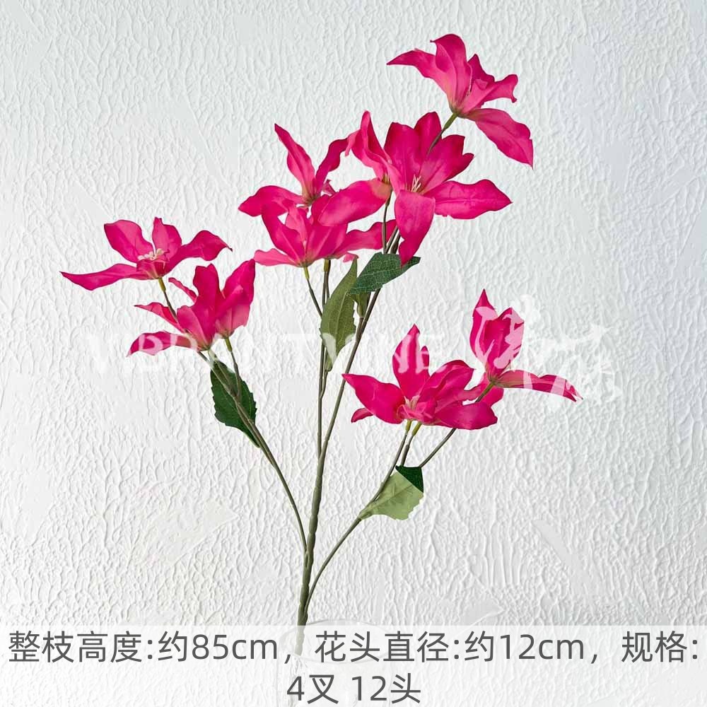 Rose red phoenix lily