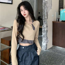 纯欲风长袖t恤女秋季新款设计感甜辣妹短款上衣高腰修身打底衫ins