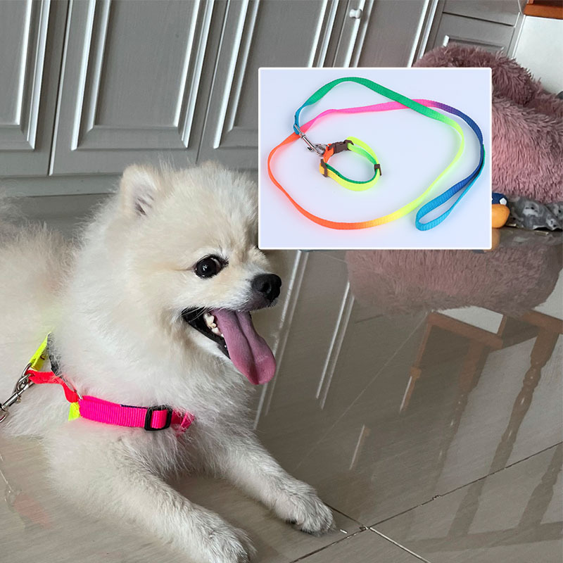 En stock cuerda de tracción de cuerda plana colorida perros medianos y grandes suministros para mascotas cuerda de perro Cadena de perro correa de pecho de peluche al por mayor