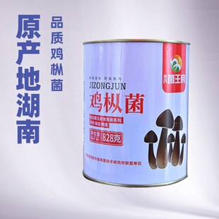 �u���������خa��޹�����ͼ�ʳ��˾�������l