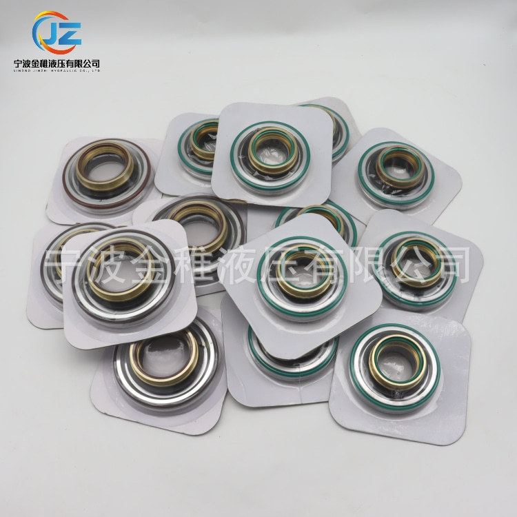 SPV21 PV21组合油封 修理包 液压泵配件  路面机械搅拌车用 密封