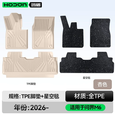 Modelə uyğun ayaqaltı — Accessories Trunk Mat Supplies - 212t01-wenjie-m6-26-models-double-layer-foot-pad-apricot-tpe-black-starry-sky-blanket-starry-sky-cover
