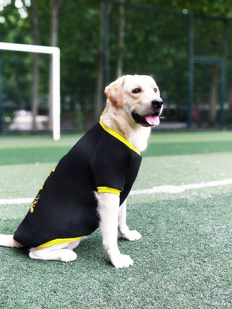 _mh2022_08_29_21_19_39