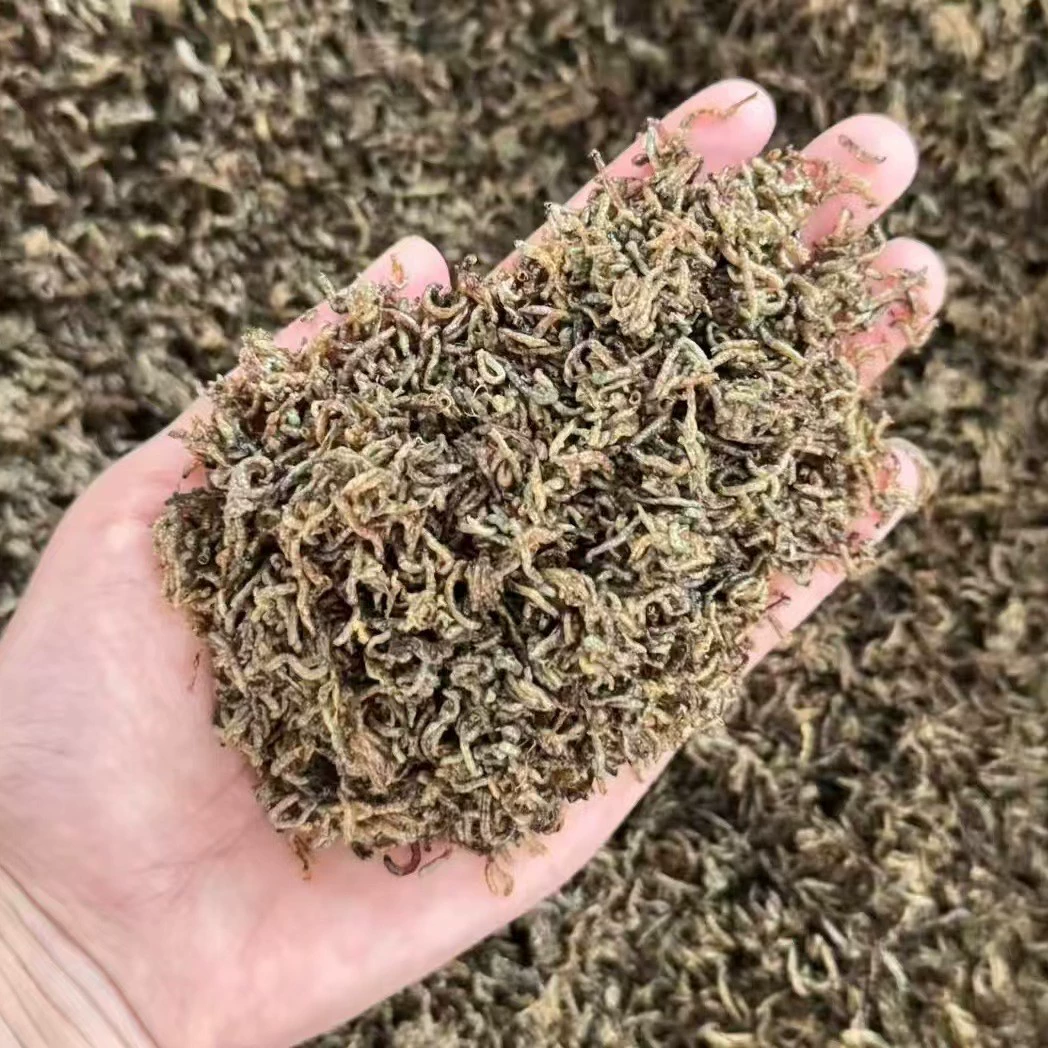 Лиофилизированные красные черви, материнские черви, сушеные личинки, сушеная корм для мелкой рыбы, тропические рыбы, корм для декоративных рыб, корм для черепах, корм для рыб, прямые продажи с фабрики