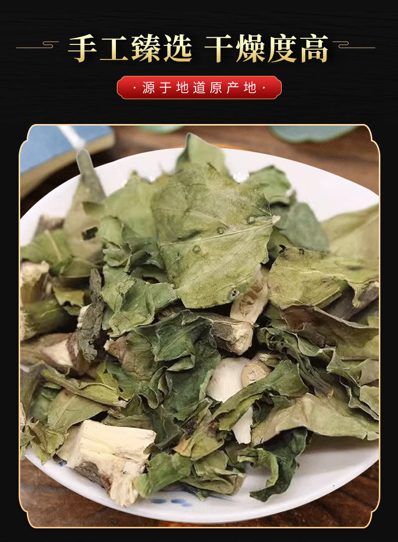 Da Bo Gu (Gendarussa vulgaris) — Dried TCM Herb for Bone-Setting & Wind-Damp Formulas in use