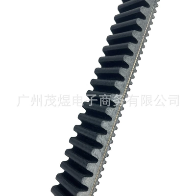 Cross-Border Hot-Selling Beach Vehicle Belt