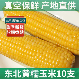 �|���������SŴ������հ��bܛŴ���ճ�ּZ����10��