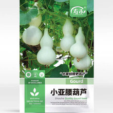 С�������J�N����С�N�������ش���ʹ���J�N���ļ��߲˷N��