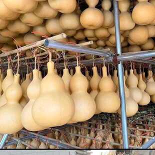 New Natural Gourd Large, Medium and Small Living Room Bedroom Office Ornaments Eight Treasures Waist Pendant Real Gourd Faucet