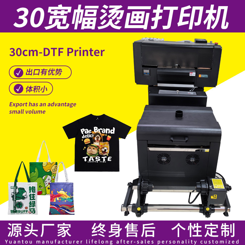 繁星30cm宽DTF烫画打印机 T恤服装印花DTF打印机柯式白墨烫画数码