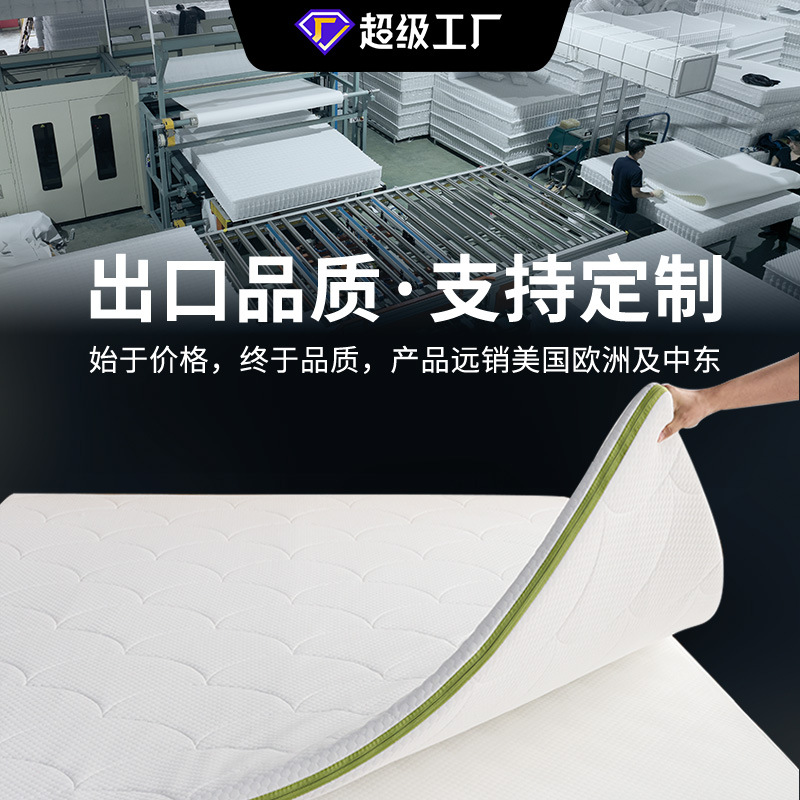 Sponge Mattress for Student Dormitory Single Bed, Removable and Washable Tatami Mat, Foldable and Thickened for Rental Housing