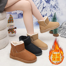 a42ѩѥŮ2025궬¿ͲӽqӺЬrаٴˮ