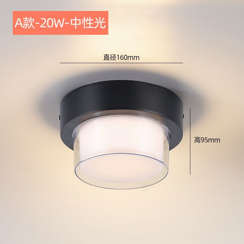 Type a round 20w neutral light