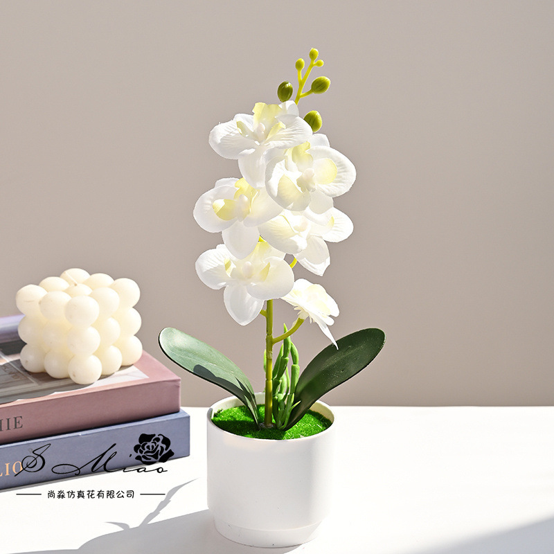 Orquídea de mariposa artificial pequeña decoración del hogar bonsai fotografía simulación flor verde decoración interior simulación maceta