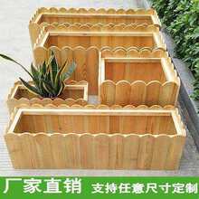 ����ľ����̼��ɫ�����L���νM�ϑ������߲˷Nֲ���̨����