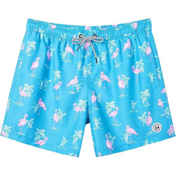 Men's Swim Trunks 5 Inch Swim Shorts Quick Dry Men's Swimwear Beach Shorts Mesh Lined Swim Trunks