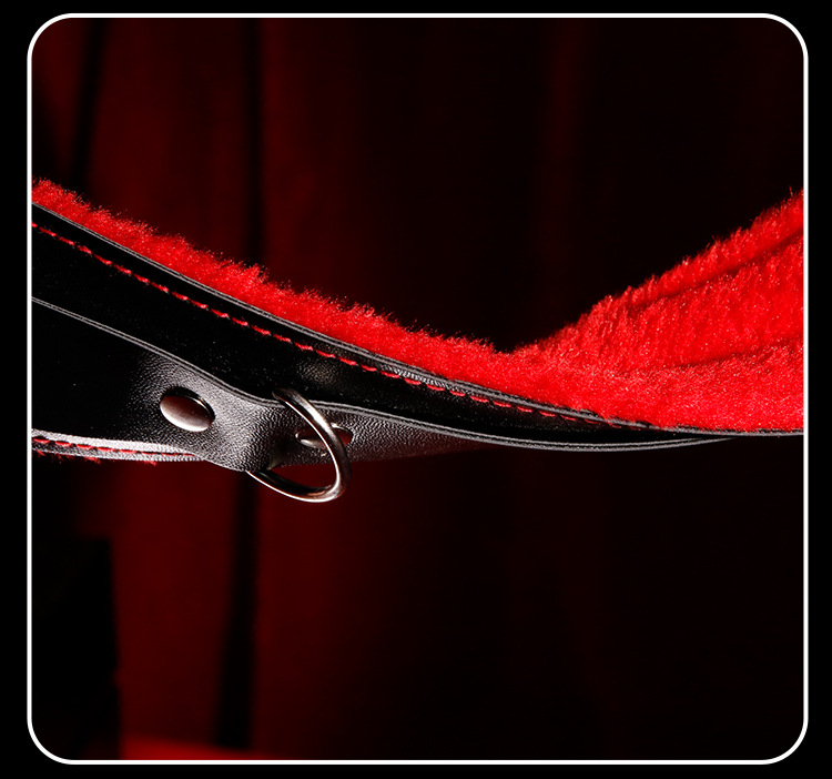 SM Red-Eye Contract 10-Piece Bondage Set with Handcuffs, Nipple Clamps and PU Leather Restraints — detail image 34