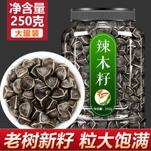 辣木籽正品特级野生食用1斤装辣木子的功效正宗非印度进口