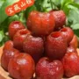 健康代发空心独立蜜饯